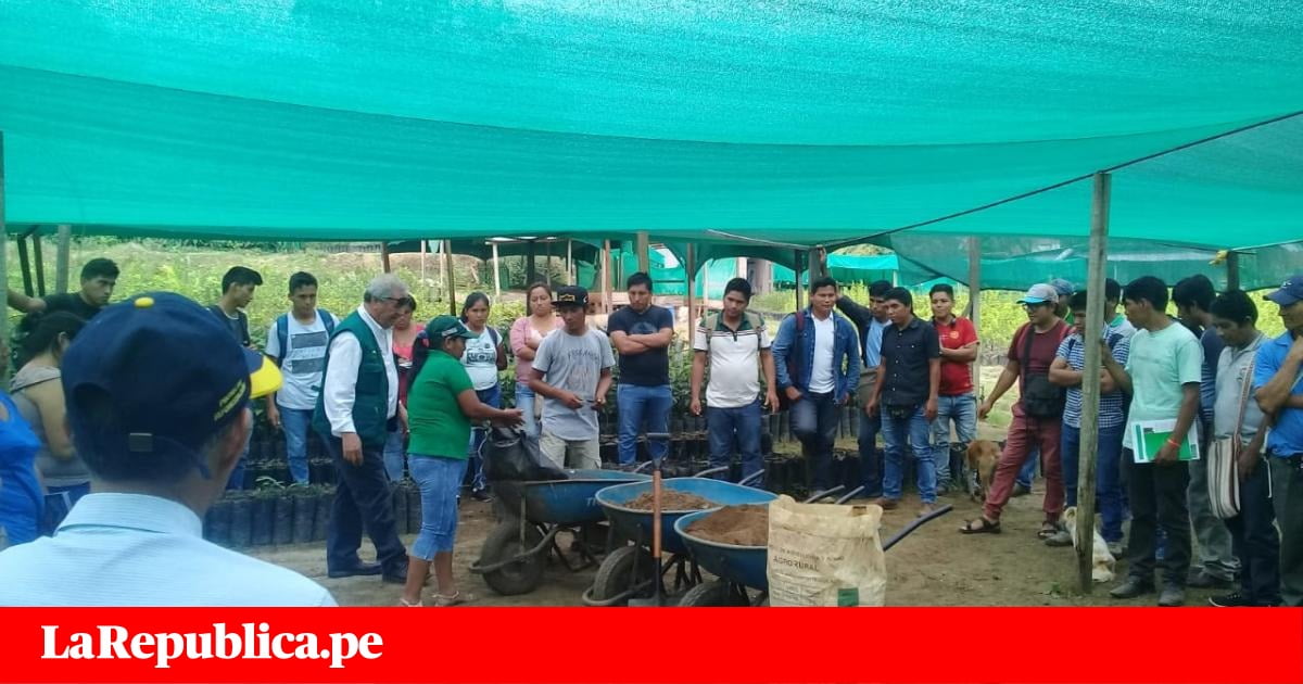 Productores de café se capacitan en el manejo del guano como abono