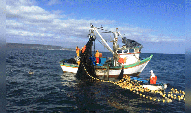 Invierten más de 3,4 millones de dólares en patrulleras marítimas para luchar contra pesca ilegal